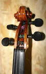 Violon