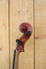 Violon