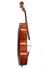 Violoncelle